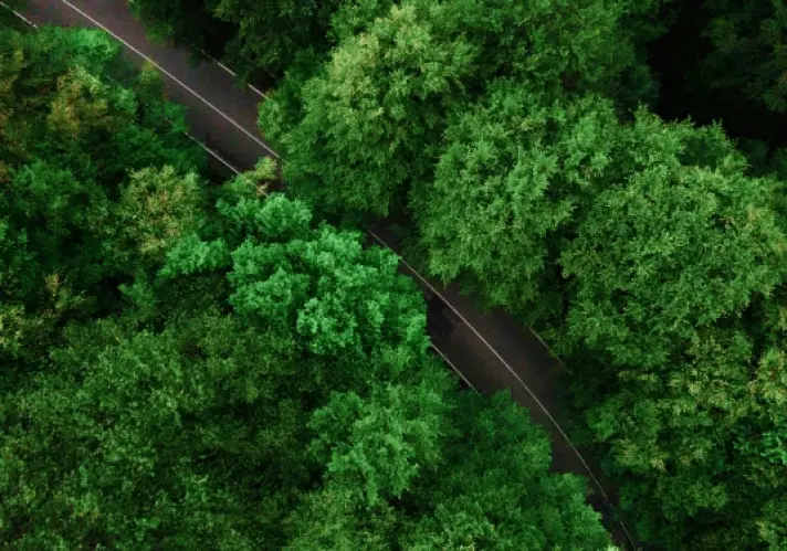 Իջևանի դենդրոպարկ